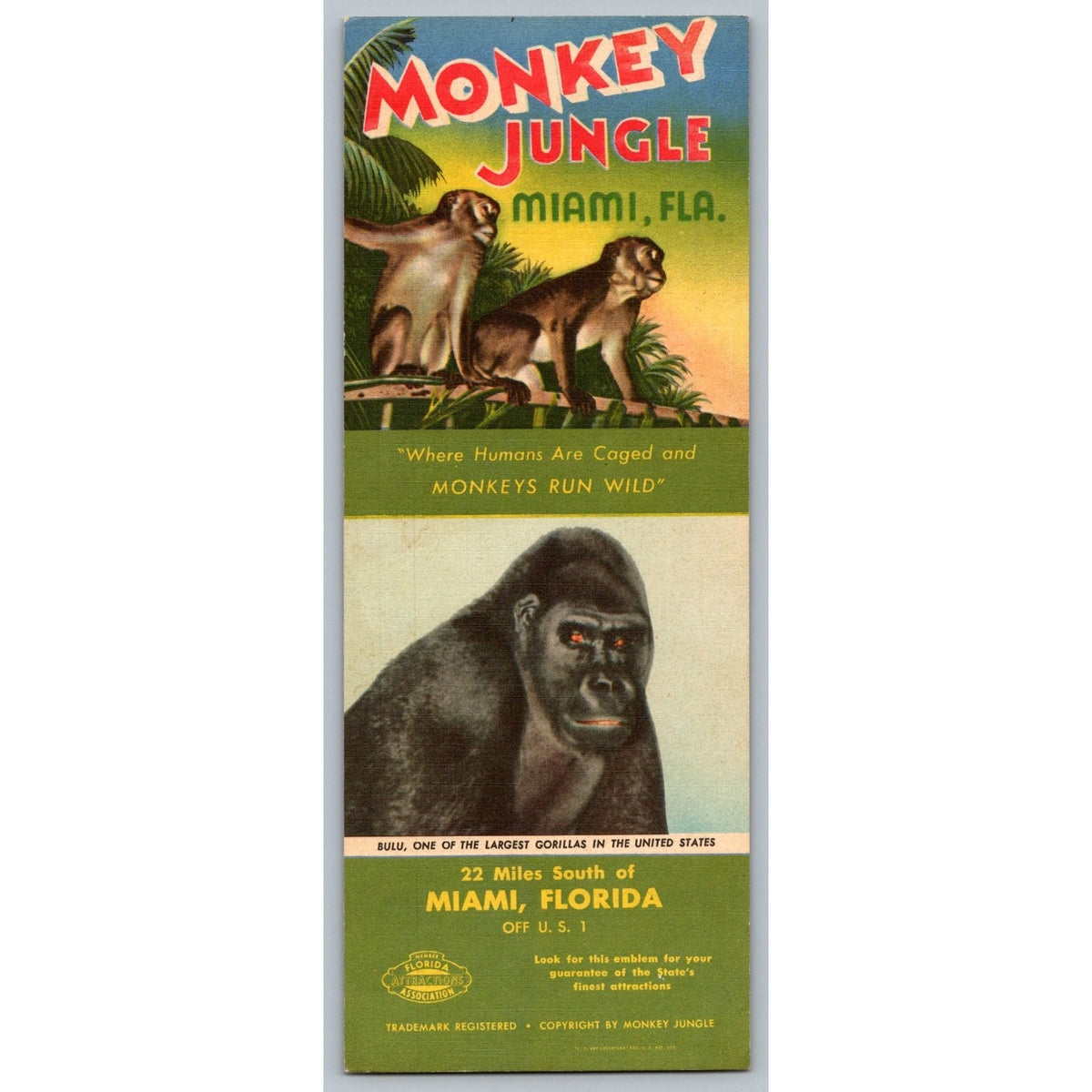 Monkey Jungle Miami Florida Vintage Brochure Ephemera Bulu Gorilla Map