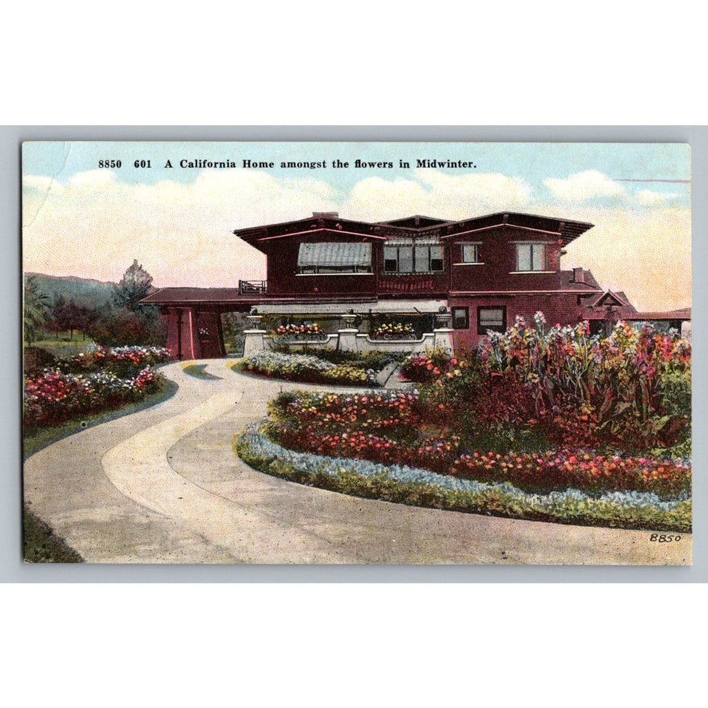 California Home Midwinter Flowers M Kashower Co Vintage Postcard 8850