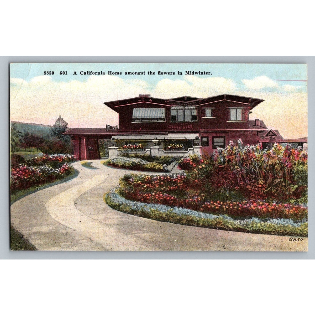 California Home Midwinter Flowers M Kashower Co Vintage Postcard 8850