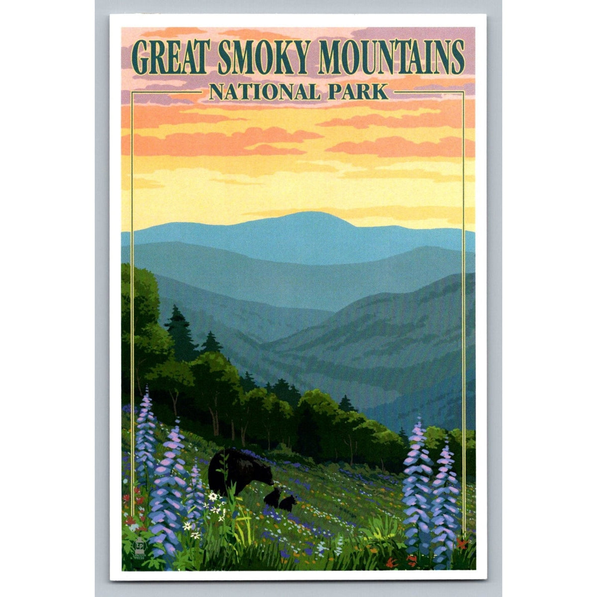 Great Smoky Mountains National Park Lantern Press Bear Cubs Postcard