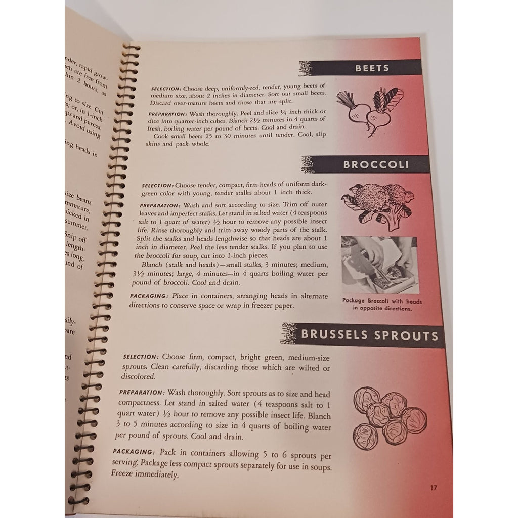 1947 International Harvester How to Freeze Foods Recipe Manual Cookbook Vintage