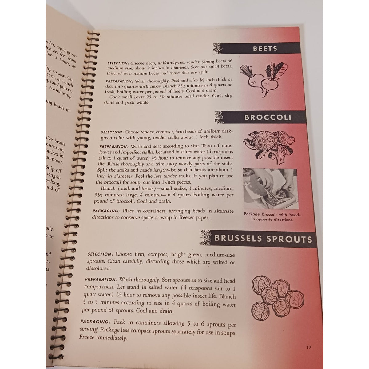 1947 International Harvester How to Freeze Foods Recipe Manual Cookbook Vintage