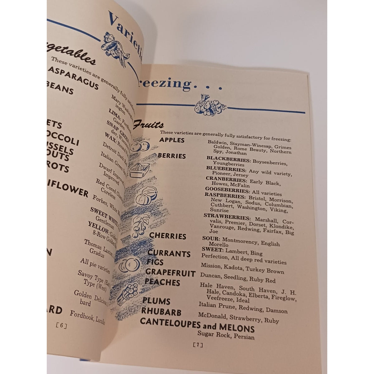 1947 Frozen Food Locker Plant Cookbook Guide Vintage Ephemera Booklet