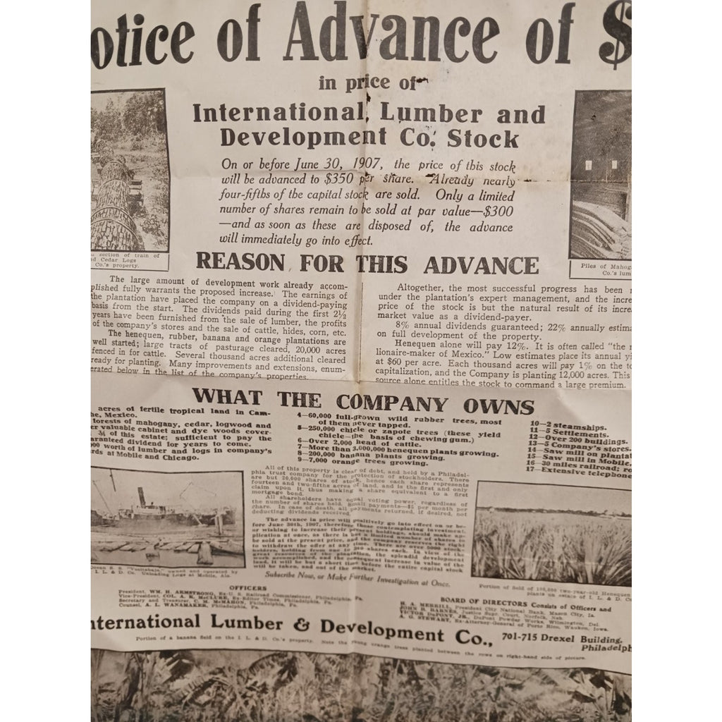 Antique 1907 International Lumber & Development Co Stock Notice Document Poster
