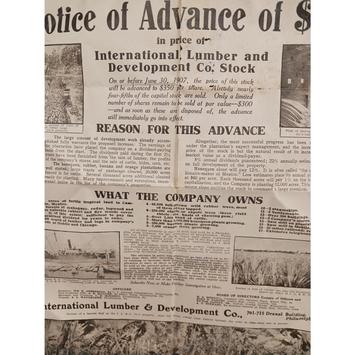 Antique 1907 International Lumber & Development Co Stock Notice Document Poster