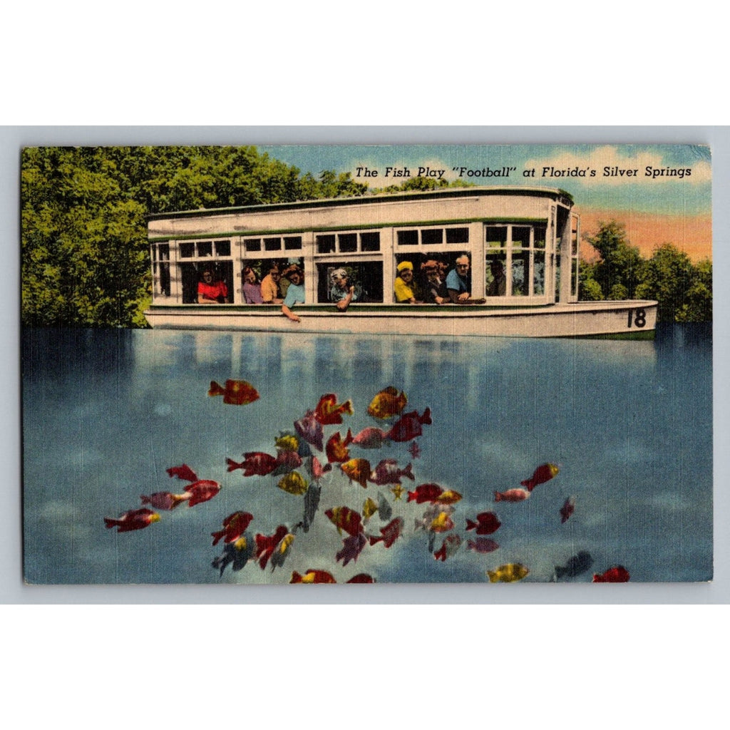 Vintage Silver Springs Florida Fish Play Football Glass Bottom Boat Postcard