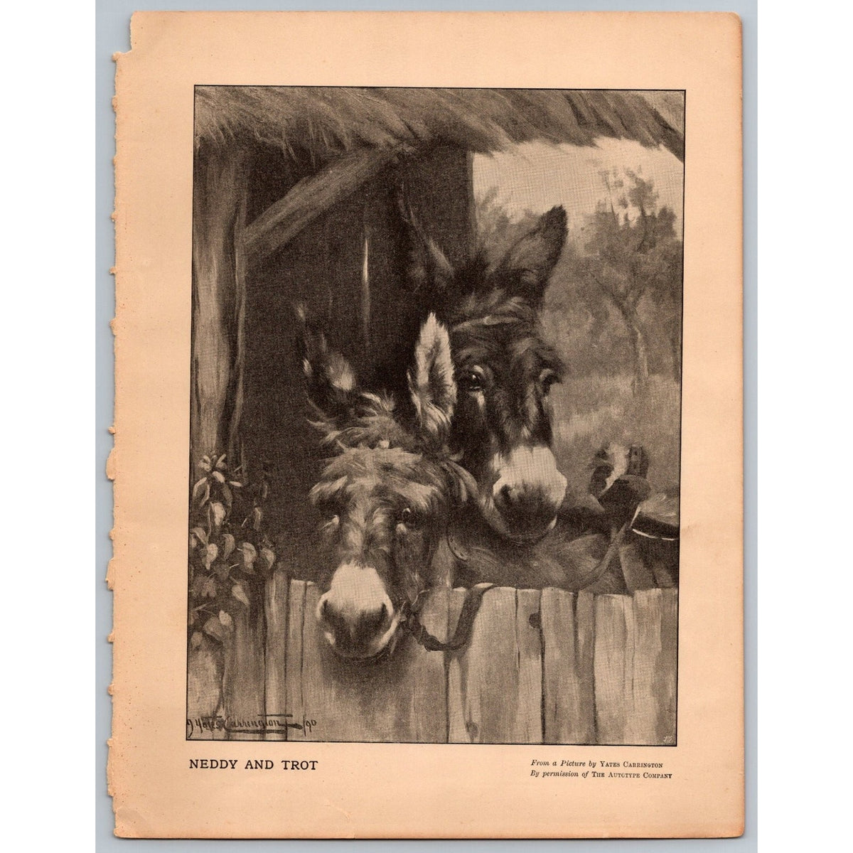1909 Yates Carrington Neddy and Trot Art Print Antique Vintage Donkeys Sepia