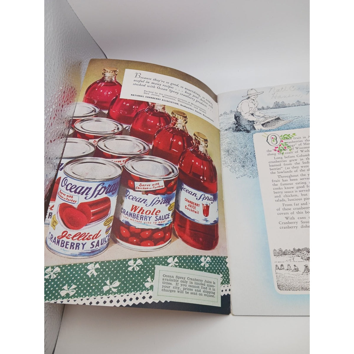 Vintage Ocean Spray 20 Famous Cranberry Dishes Recipe Booklet 1940s 1950s
