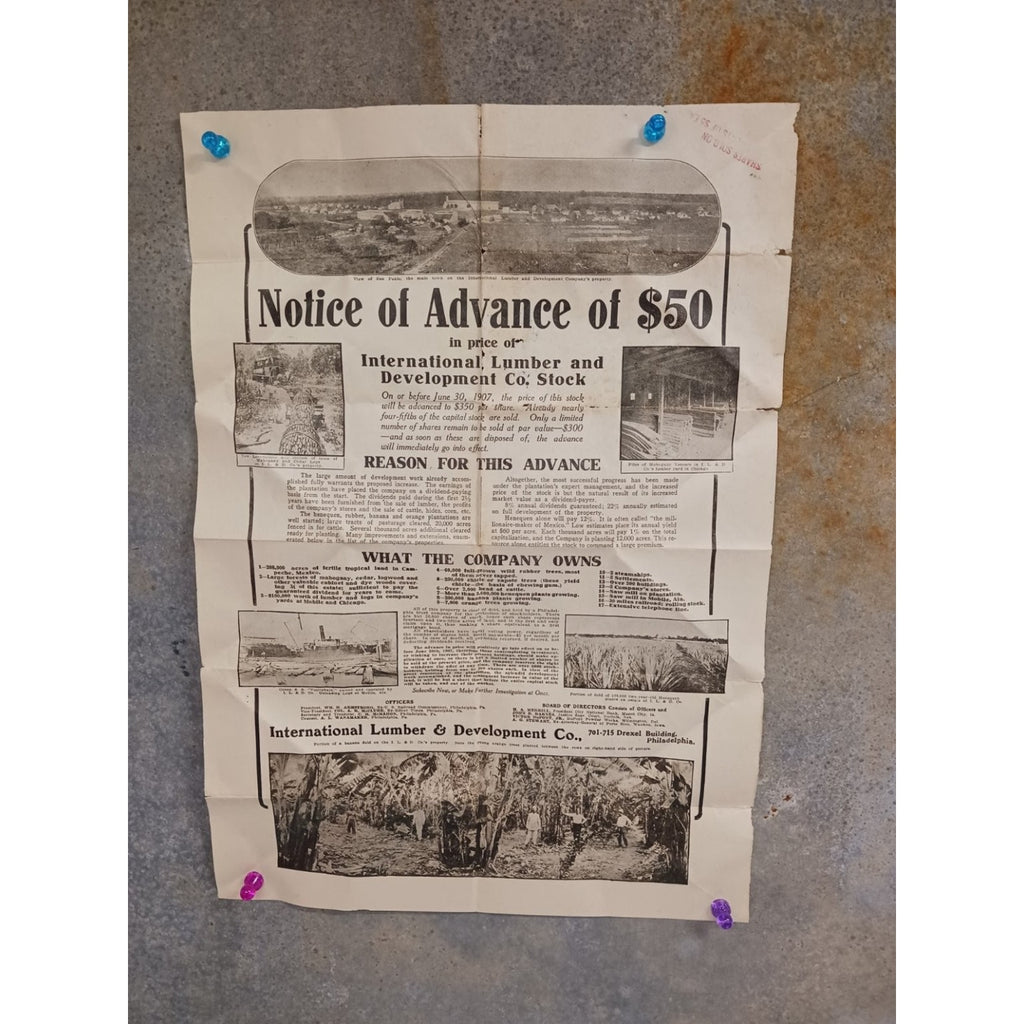 Antique 1907 International Lumber & Development Co Stock Notice Document Poster