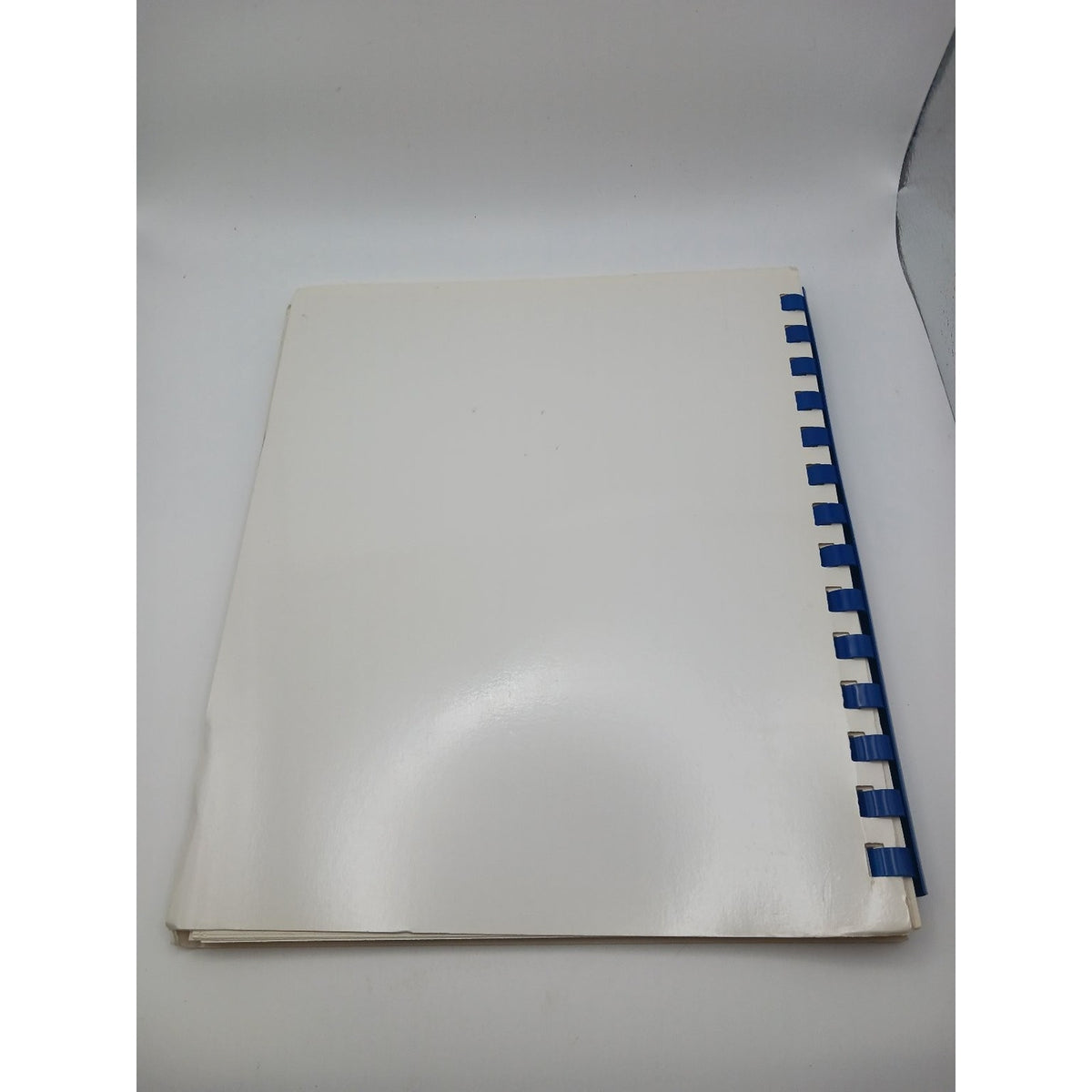 Delectable Delights Knoxville Legal Secretaries Assn Cookbook 1986 Tennessee