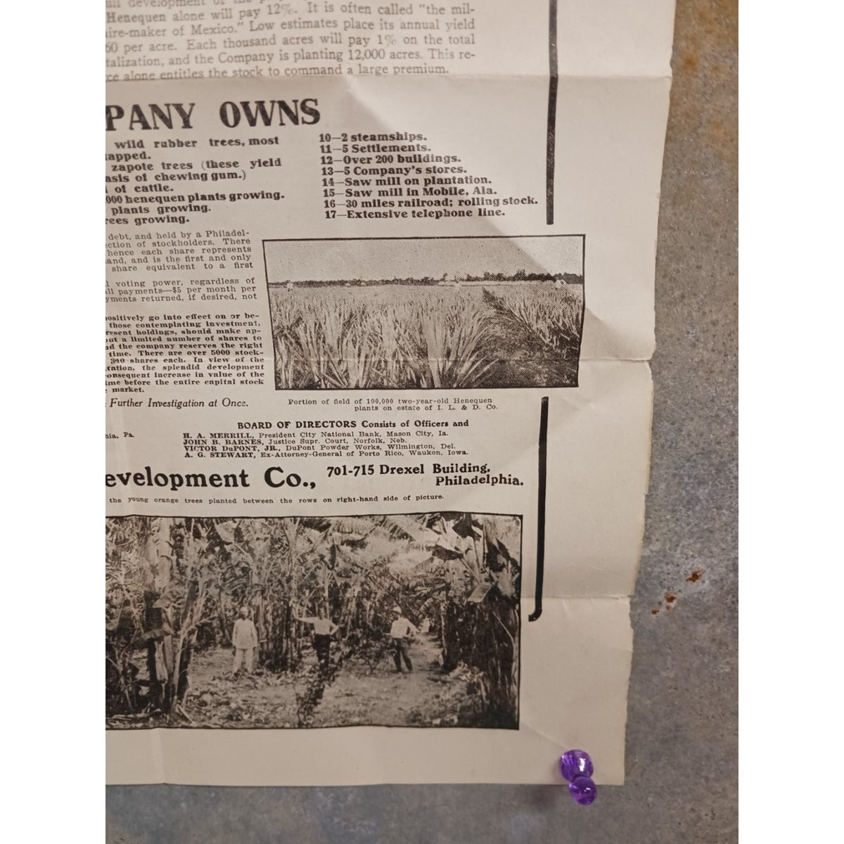 Antique 1907 International Lumber & Development Co Stock Notice Document Poster