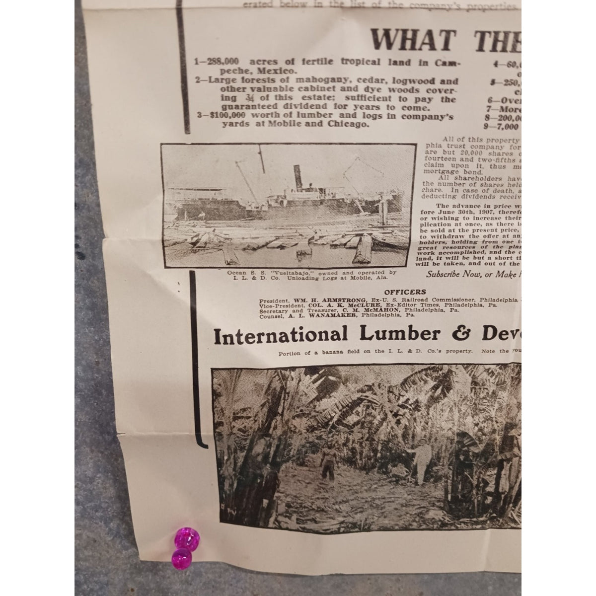 Antique 1907 International Lumber & Development Co Stock Notice Document Poster