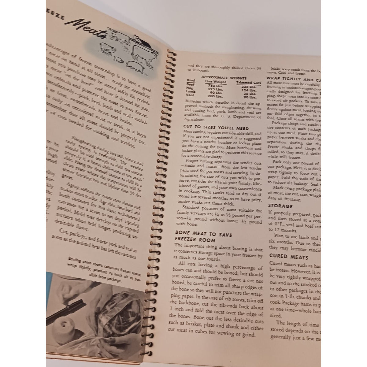 1947 International Harvester How to Freeze Foods Recipe Manual Cookbook Vintage