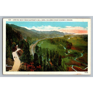 Columbia River Hwy Oregon Shepperd's Dell Dome Vintage Postcard Weister Co.