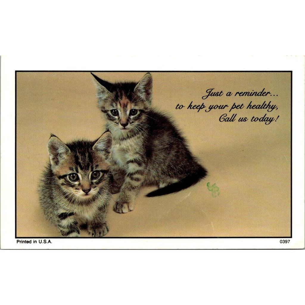 Vintage Postcard 2 Kittens Cats Vet Check Up Reminder USA