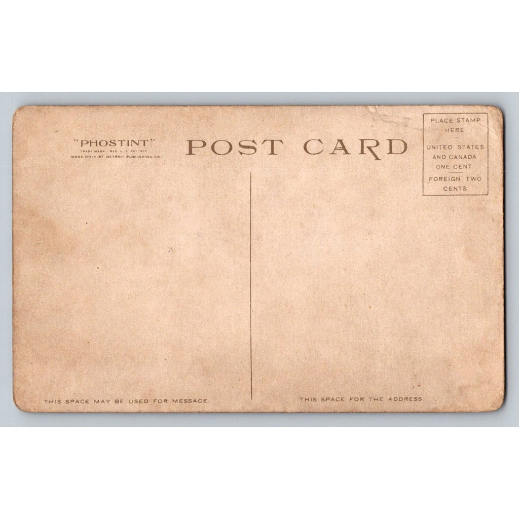 Bitter Root Mts Idaho Railroad Trestle Bridge Phostint Postcard Detroit Pub