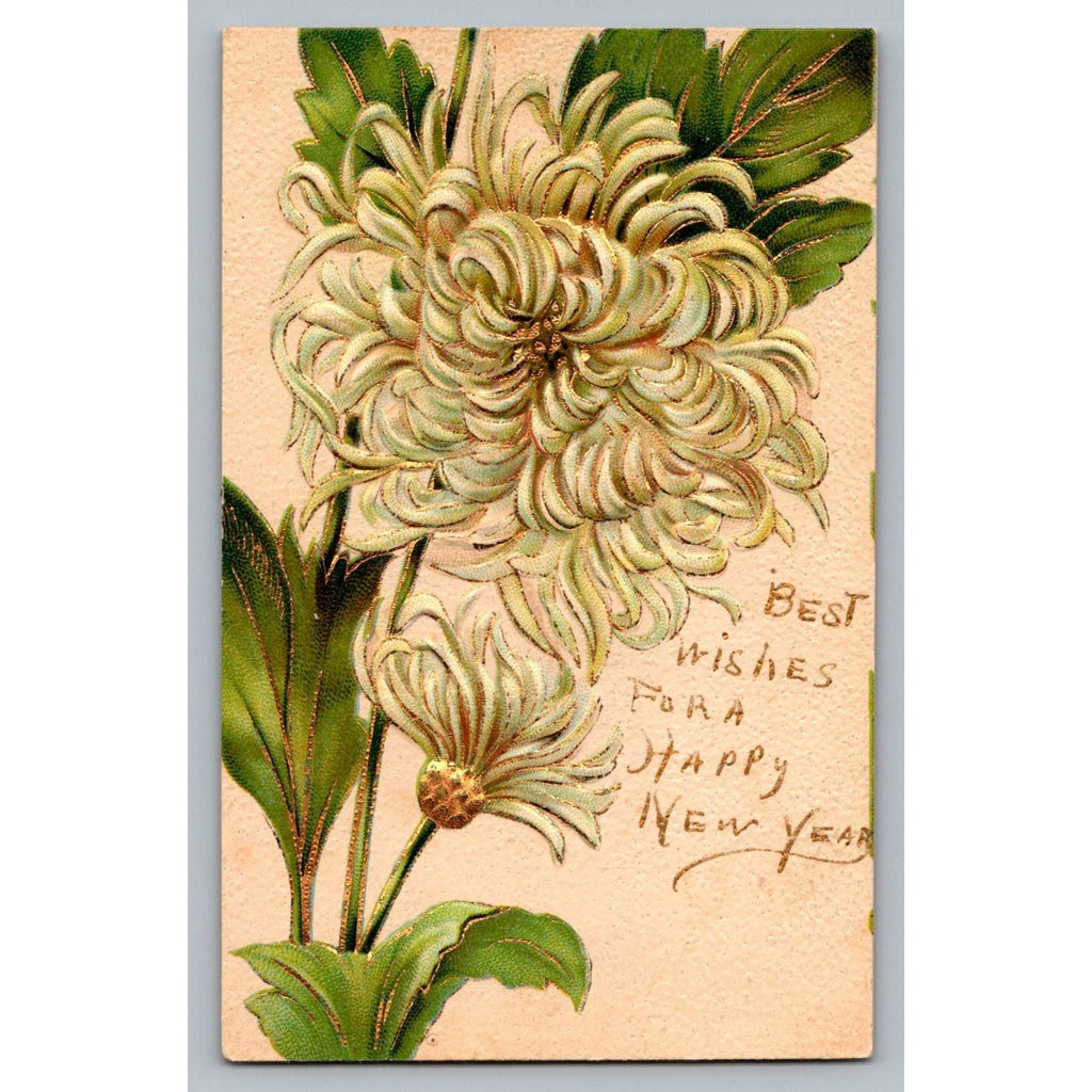 Embossed Chrysanthemum New Year Postcard 1912 Milford NH A.l.b. Germany
