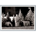 Vintage RPPC Ice Sculpture Christmas Winter Wonderland Deer Night Scene