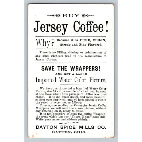 1890s Jersey Coffee Dayton Ohio Victorian Trade Card Winter Scene Rose Violets