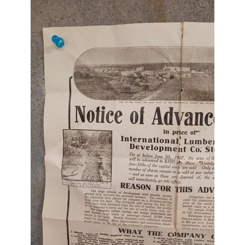Antique 1907 International Lumber & Development Co Stock Notice Document Poster