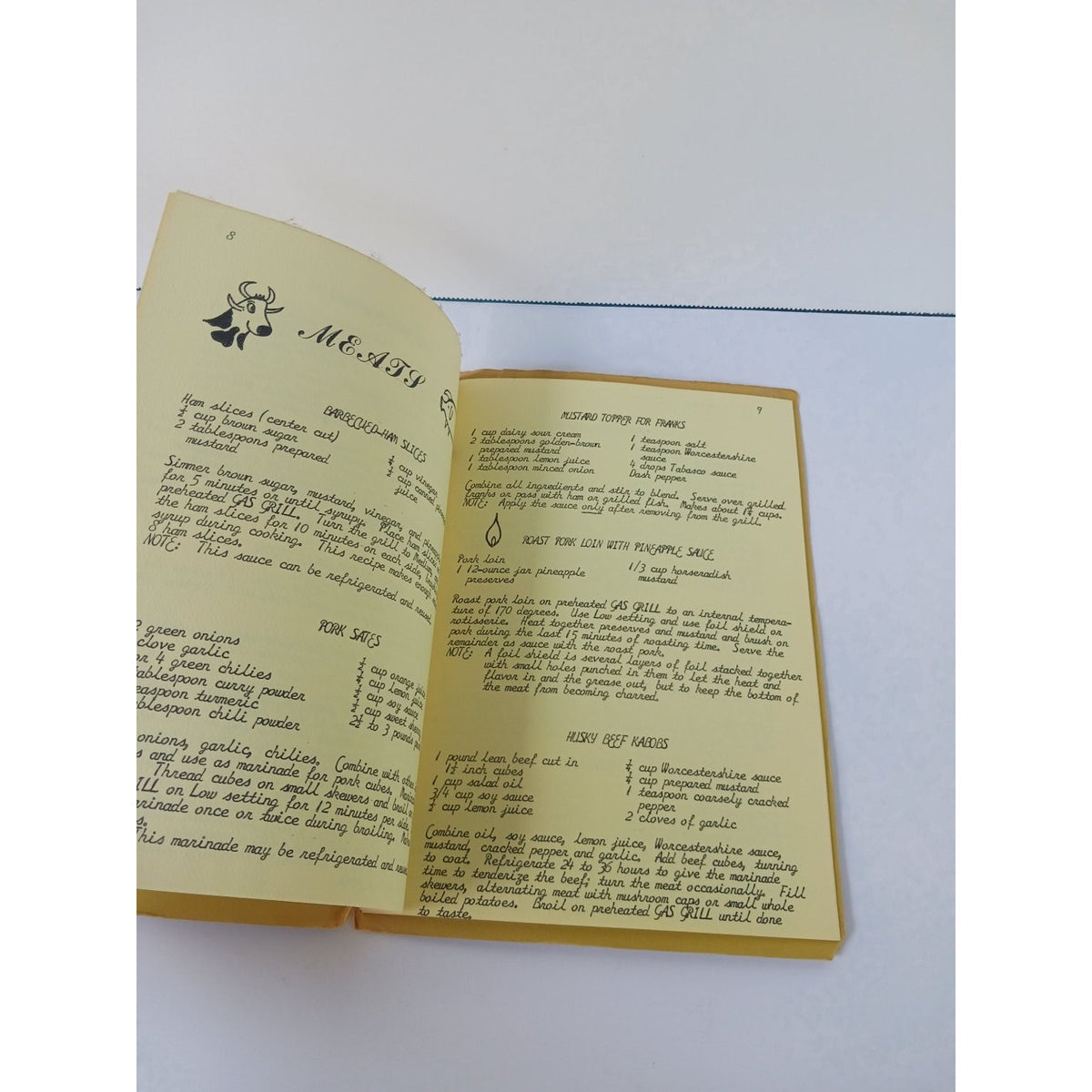 Vintage Nashville Gas Company Gapping Alfresco S Gas Grill Recipe Booklet 1940s