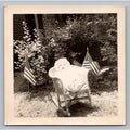 Baby Infant 1949 Snapshot Photograph Decoration Day American Flags Americana