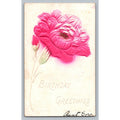 1907 Embossed Pink Flower Birthday Greetings Postcard Gettysburg PA Air Brushed