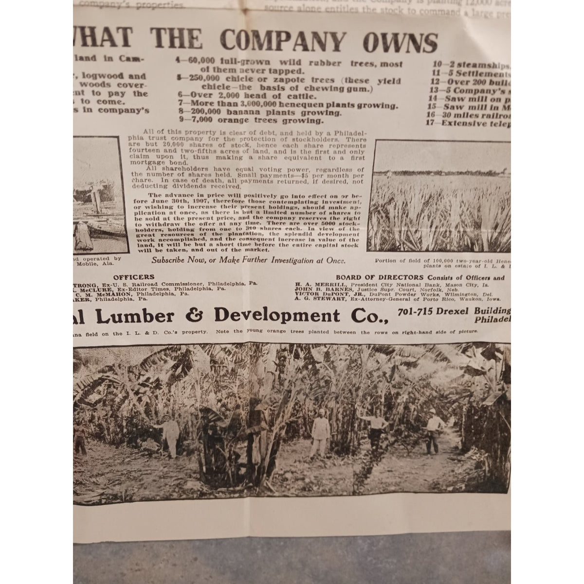 Antique 1907 International Lumber & Development Co Stock Notice Document Poster