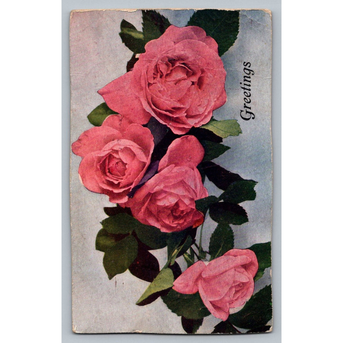 1907 Floral Series Pink Roses Greetings Postcard W.G. MacFarlane Chicago