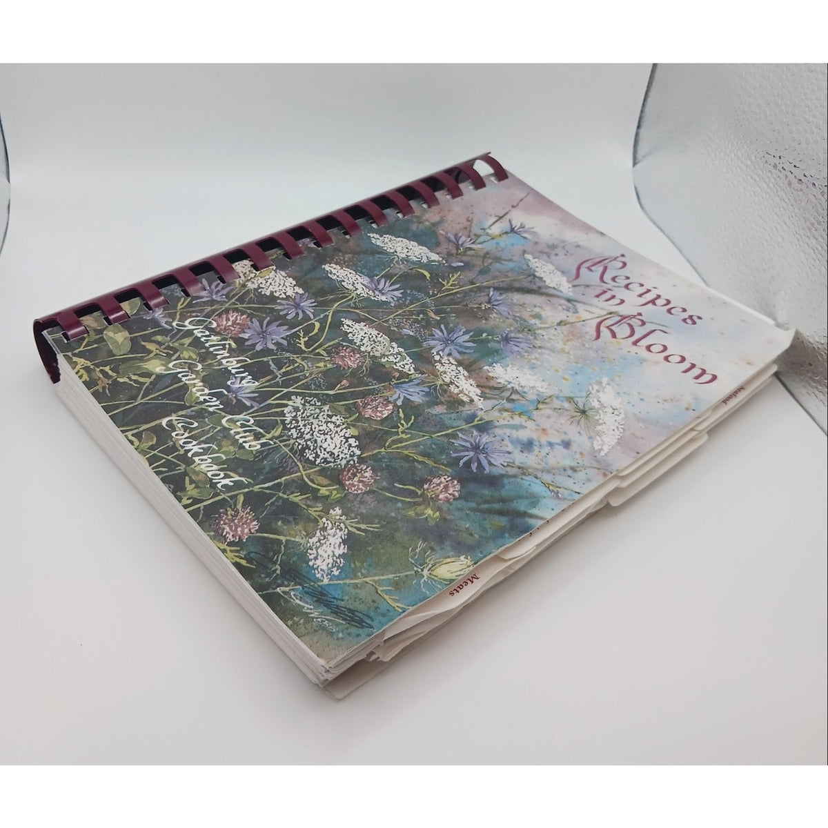 Recipes in Bloom Gatlinburg Garden Club Cookbook 1986 Community Spiral Tenn