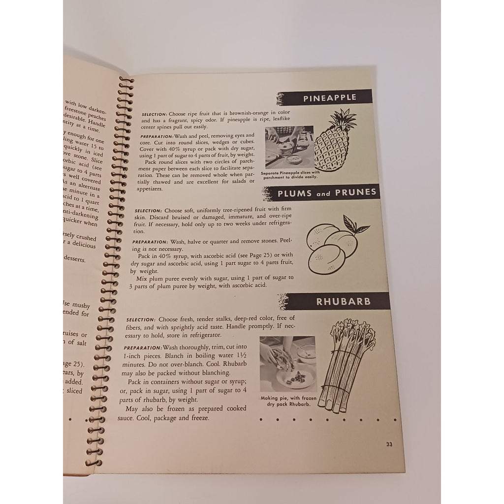 1947 International Harvester How to Freeze Foods Recipe Manual Cookbook Vintage