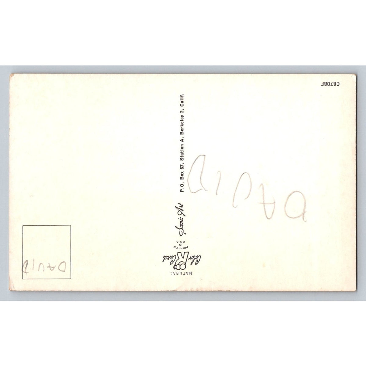 Humorous Frog Postcard WHY DON'T YOU WRITE BEFORE I CROAK Comic Art