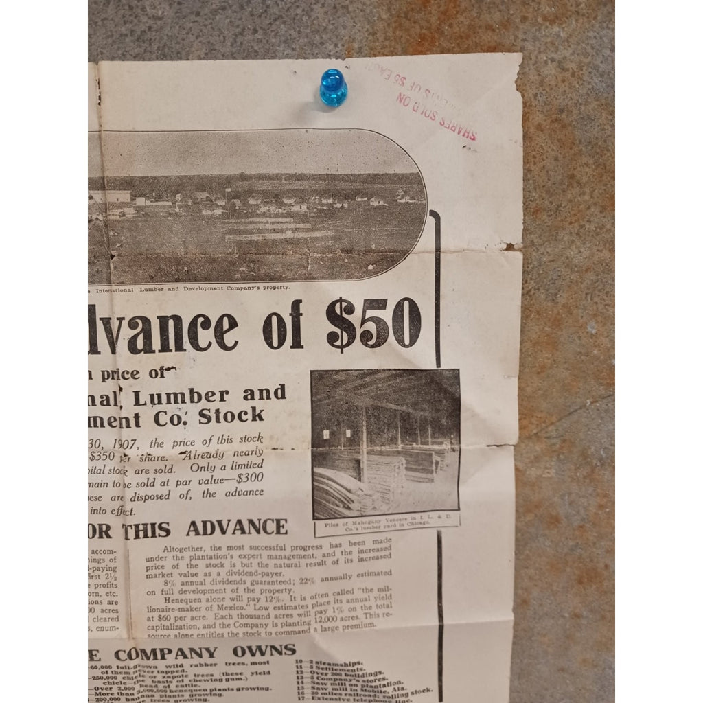 Antique 1907 International Lumber & Development Co Stock Notice Document Poster